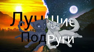 клип коты воители лучшие подруги ( заказ)