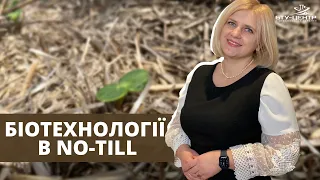 Біотехнологія в No-till - ефективний інструмент в умовах сьогодення  Тетяна Хоменко, БТУ-ЦЕНТР