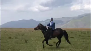 Конные скачки Курахский район