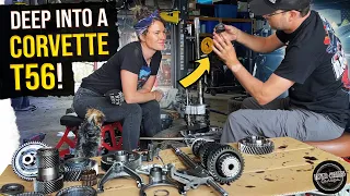 C6 T56 disassembly! Are we crazy?! Transmission rebuild Pt 2