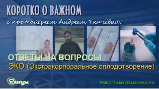 Про бесплодие, ЭКО, супружеские отношения