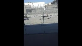 Basketball Game In Prison: 2019 1v1 Game Of 21