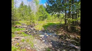 10.2 Acre Oasis for Sale in the Vermont Country with Water Source and Home Site