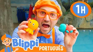 Blippi Brinca de Afunda ou Boia na Piscina! | 1 HORA DO BLIPPI! | Vídeos Educativos em Português