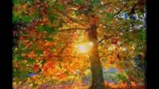 Копия видео Мое слайд-шоу  Осенний листопад