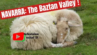 BASQUE COUNTRY   | ⛰️ 🐴  The Baztan Valley / El Valle de Baztan  |   Euskadi 24 Television