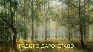 РАДОРО ДАРО СЛАВО исцеляющая музыка ,RADORO DARO SLAVO healing music