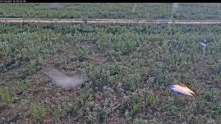 Attwater Prairie Chicken NWR Live Stream