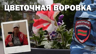 Цветочная воровка