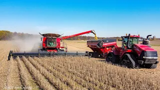 Case IH Combine with Tracks Harvesting Soybeans with a Quadtrac and tracked Grain Cart.