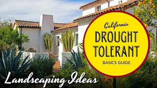 A Beginner's Guide to Drought-Tolerant Landscaping in California 🌤☀️ - Garden Ideas