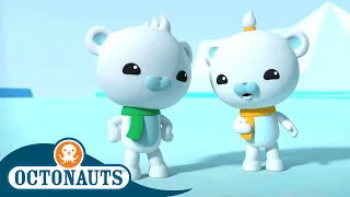 Octonauts - The Walrus Pups | Cartoons for Kids | Underwater Sea Education