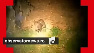 Cum a reuşit să scape bărbatul care a atacat un urs cu bâta în timp ce dormea. "Dă-i şi pleacă"