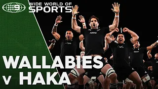 Wallabies respond to the Haka with 'The Boomerang' | Wide World of Sports