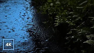 RAIN Sounds for Sleeping - Rain on Path & Rain on Leaves - End Insomnia, Study, Relax 12hrs