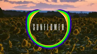 Post Malone, Swae Lee - Sunflower (Kyle G X Devin Wayne Remix)