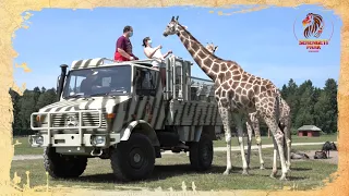 NEU: Die Unimog-Safari-Special-Tour im Serengeti-Park