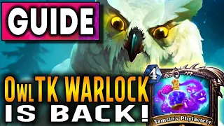 OwlTK Warlock Guide! Deck is back and crushing the meta!