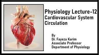 Physiology Class - 12, Cardiovascular System: Circulation