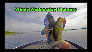 Windy Wednesday Nighters Ep 7 | Insane FROG Bite