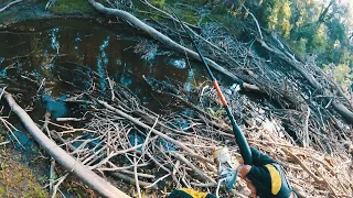 ШОК | ЭТОТ РУЧЕЙ - ЛУЖА ЗАБИТА КИЛОГРАММОВЫМИ ОКУНЯМИ | ГОРБАЧИ НА КАЖДОМ ЗАБРОСЕ