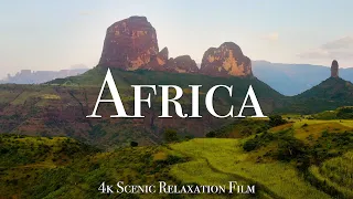 Africa 4K - Scenic Relaxation Film With Calming Music