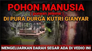 POHON MANUSIA !!!