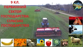 Географія. 9 кл. Урок 9. Первинний сектор господарства: сільське господарство