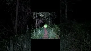 (GONE WRONG) DANGEROUS CULT HIDING FROM ME IN THE WOODS WHILE USING RANDONAUTICA ALONE