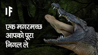 क्या हो अगर एक मगरमच्छ आपको निगल ले | What If You Were Swallowed By A Crocodile?