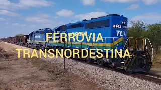 FERROVIA TRANSNORDESTINA | TREM CARGUEIRO TRANSPORTANDO BRITA PRA CEDRO NO CEARÁ.31/10/2023