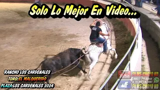 TORO EL MALQUERIDO EN LA PLAZA DE TOROS LOS CARDENALES DE BACA.YUCATAN 2024 LEVANTANDO LAS EMOCIONES