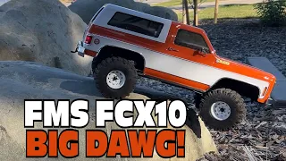 FMS FCX10 - Introducing "BIG DAWG" to the PSYCHO13GARAGE!!!