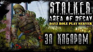 STALKER: Area of Decay ☢ ЗАРАБОТАТЬ МИЛЛИОН ☢ DayZ RP ☢ (s5 e49) ► DayZ  1.12