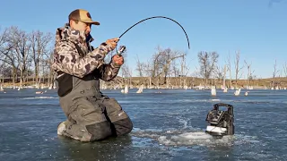 Early Ice Fishing Shallow Flooded Timber! (CATCH CLEAN COOK)