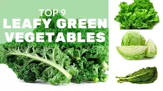 Top 9 Leafy Green Vegetables and Why You Should Eat Them