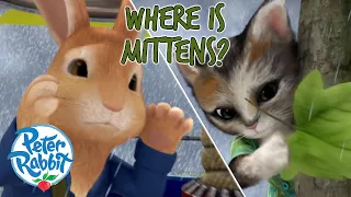 ​@OfficialPeterRabbit  - Where Has Mittens Gone?! 👀 🐈 | Lost And Found | Compilation | Cartoons for Kids