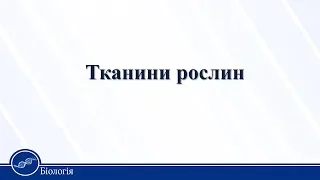 Тканини рослин. Біологія 10 клас