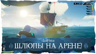 Sea of Thieves: Шлюпы на Арене!