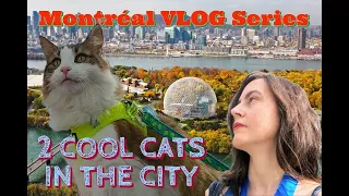 Montréal Vlog Series 🐈 2 Cool Cats In The City 🌆 Day 4/6 Sunday 📚Tabling at Expozine 2022 Zine Fair