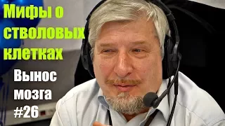 Мифы о стволовых клетках. Сергей Савельев (Вынос мозга #26)