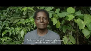 Capture the Carbon: Conserving forests to sustain local communities