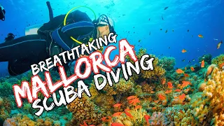 Exploring the Enchanting Underwater World of Mallorca | Dive Adventures