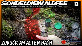 🔶 Zurück am alten Bach 🔶 Goldwaschen Goldsuche in Deutschland Gold prospecting