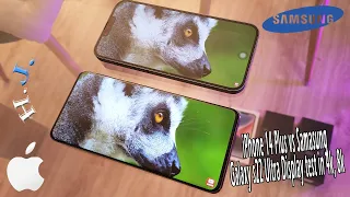 iPhone 14 plus vs Samsung Galaxy S20 Ultra Display test in 4k, 8k