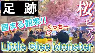 【足跡】リトグリの合唱曲に想いを乗せて 大きな桜の下で温かな拍手が咲き誇る...!!【ストリートピアノ / Little Glee Monster】