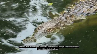 Top 10 Most Dangerous Rivers From Around The World