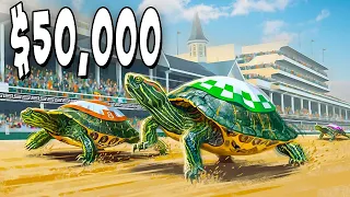 $50,000 Turtle Derby Race!
