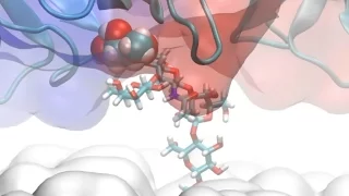 webinar recording: computational design of Glycomimetic inhibitors — prospects and limitations