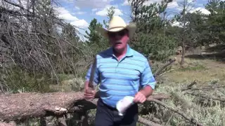 Sharp Knife Cuts Tomatoes and Trees in Half STAYS SHARP